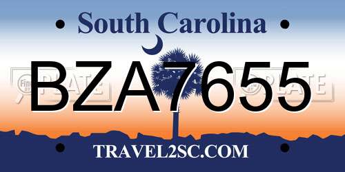 BZA7655 South Carolina License Plate