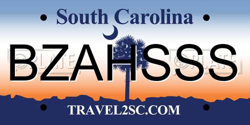 BZAHSSS South Carolina License Plate