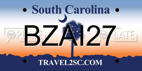 BZAI27 South Carolina License Plate