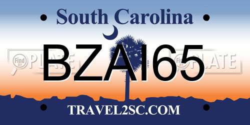 BZAI65 South Carolina License Plate