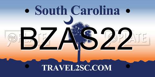 BZAS22 South Carolina License Plate