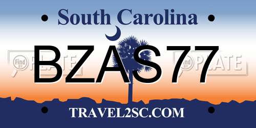 BZAS77 South Carolina License Plate