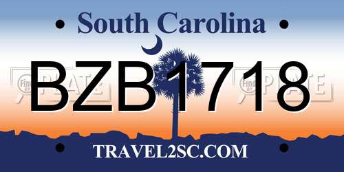 BZB1718 South Carolina License Plate