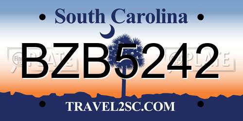 BZB5242 South Carolina License Plate