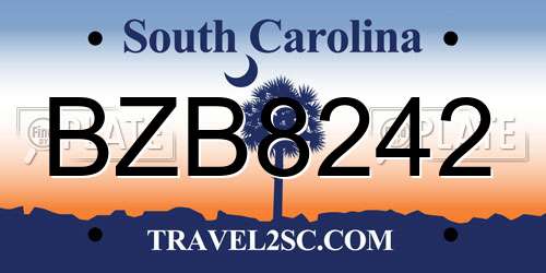 BZB8242 South Carolina License Plate