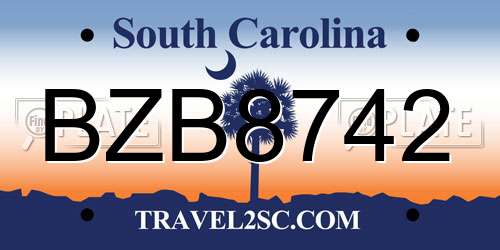 BZB8742 South Carolina License Plate