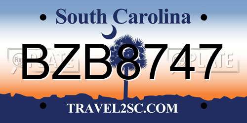 BZB8747 South Carolina License Plate