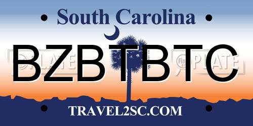 BZBTBTC South Carolina License Plate
