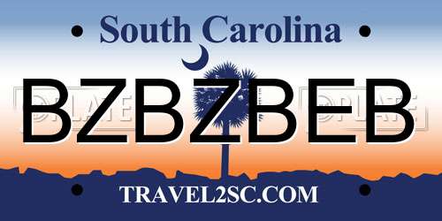 BZBZBEB South Carolina License Plate