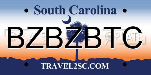 BZBZBTC South Carolina License Plate