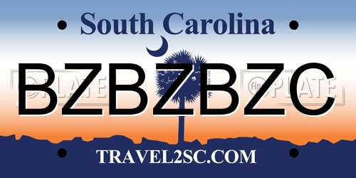 BZBZBZC South Carolina License Plate
