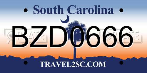 BZD0666 South Carolina License Plate