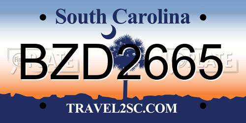 BZD2665 South Carolina License Plate