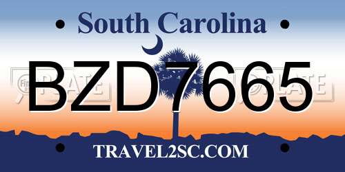 BZD7665 South Carolina License Plate
