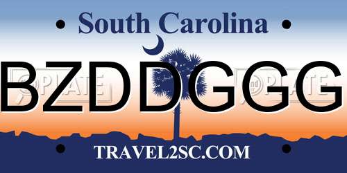 BZDDGGG South Carolina License Plate