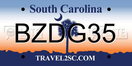 BZDG35 South Carolina License Plate