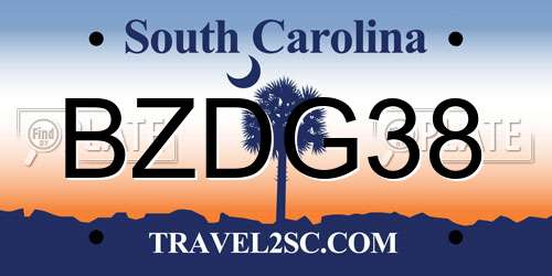 BZDG38 South Carolina License Plate