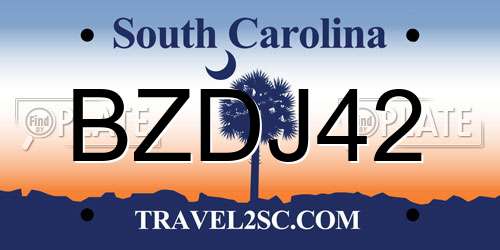 BZDJ42 South Carolina License Plate