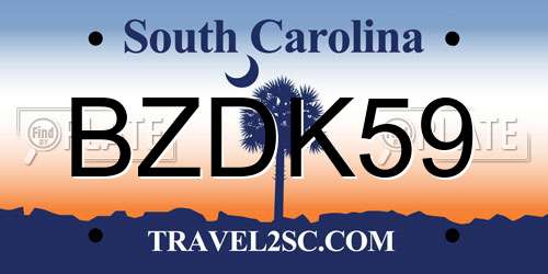 BZDK59 South Carolina License Plate