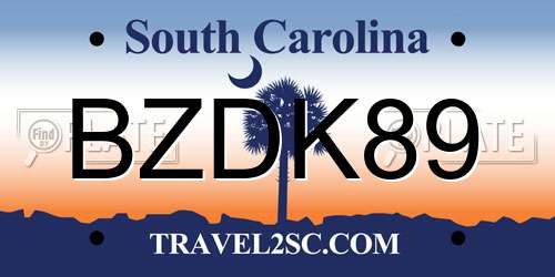 BZDK89 South Carolina License Plate