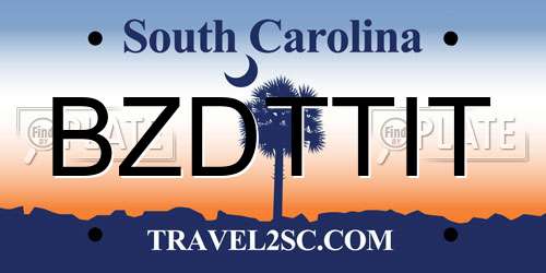 BZDTTIT South Carolina License Plate