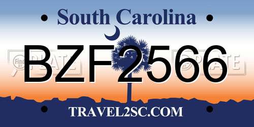 BZF2566 South Carolina License Plate