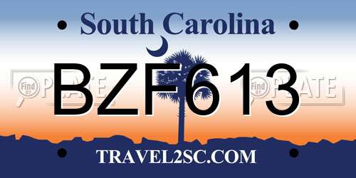 BZF613 South Carolina License Plate
