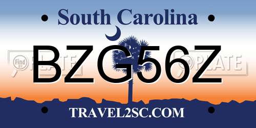 BZG56Z South Carolina License Plate