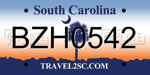 BZH0542 South Carolina License Plate