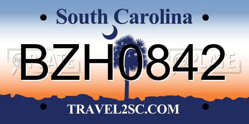 BZH0842 South Carolina License Plate