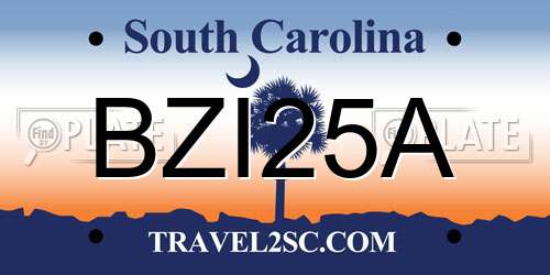 BZI25A South Carolina License Plate