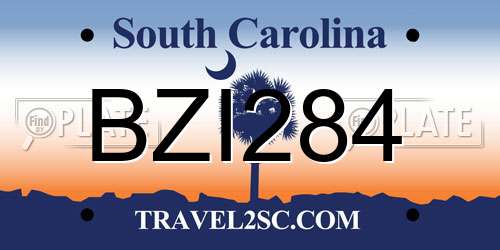 BZI284 South Carolina License Plate