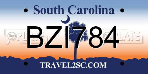 BZI784 South Carolina License Plate
