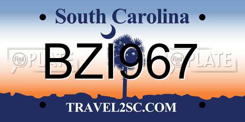 BZI967 South Carolina License Plate