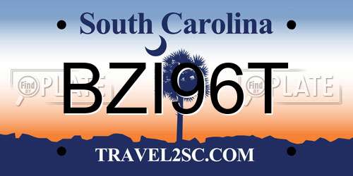 BZI96T South Carolina License Plate