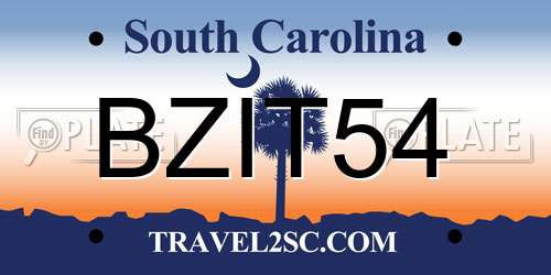 BZIT54 South Carolina License Plate
