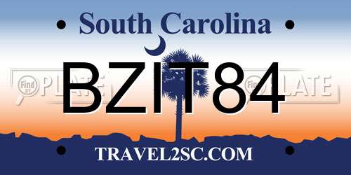 BZIT84 South Carolina License Plate