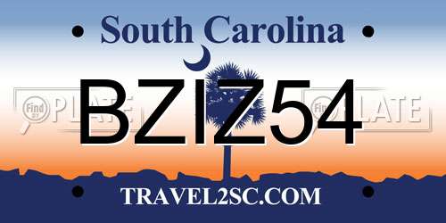 BZIZ54 South Carolina License Plate