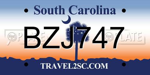 BZJ747 South Carolina License Plate