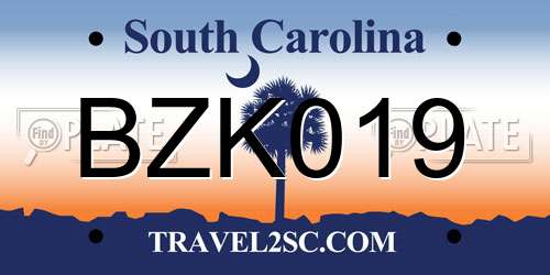 BZK019 South Carolina License Plate