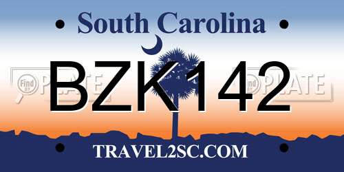 BZK142 South Carolina License Plate