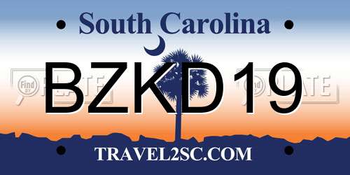 BZKD19 South Carolina License Plate