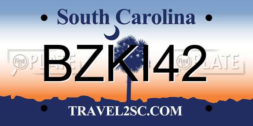 BZKI42 South Carolina License Plate