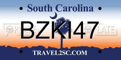 BZKI47 South Carolina License Plate