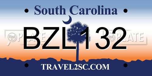 BZL132 South Carolina License Plate