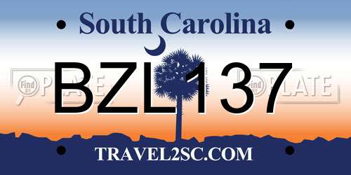 BZL137 South Carolina License Plate
