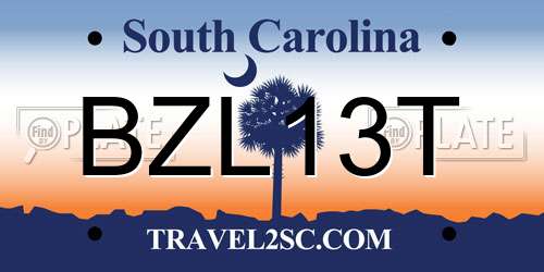 BZL13T South Carolina License Plate