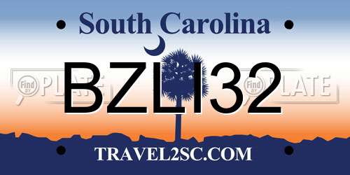 BZLI32 South Carolina License Plate