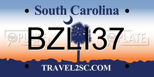BZLI37 South Carolina License Plate