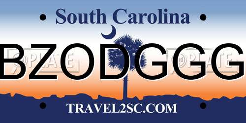 BZODGGG South Carolina License Plate